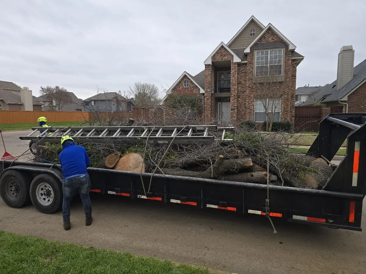 Expert Tree Pest Control with proper safety equipment in Saint Landry